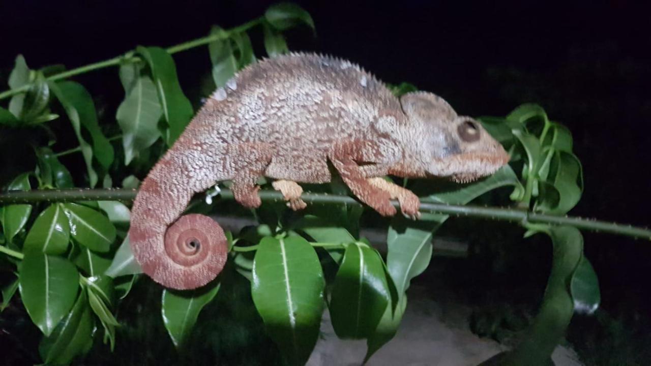 Sanjeela-Plage Coco Antsiranana Kültér fotó